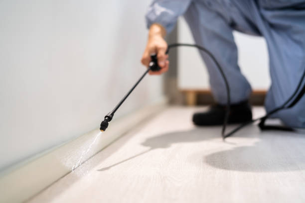 Licensed Cockroach Control service in Emporia, VA - Nex Pest Control