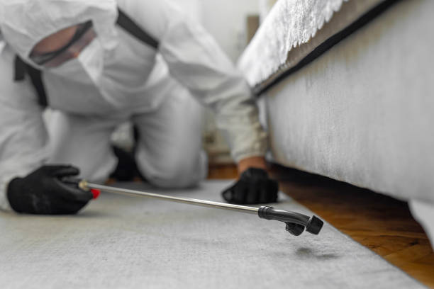Professional Cockroach Control technician working in Emporia, VA