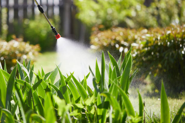 24/7 Emergency Cockroach Control experts in Emporia, VA