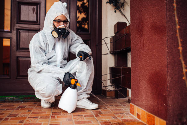 Reliable Cockroach Control contractor in Emporia, VA by Nex Pest Control